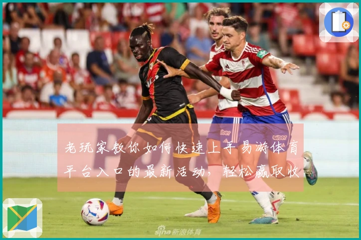 老玩家教你如何快速上手易游体育平台入口的最新活动，轻松赢取收益！