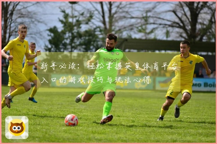 新手必读：轻松掌握英皇体育平台入口的游戏技巧与玩法心得