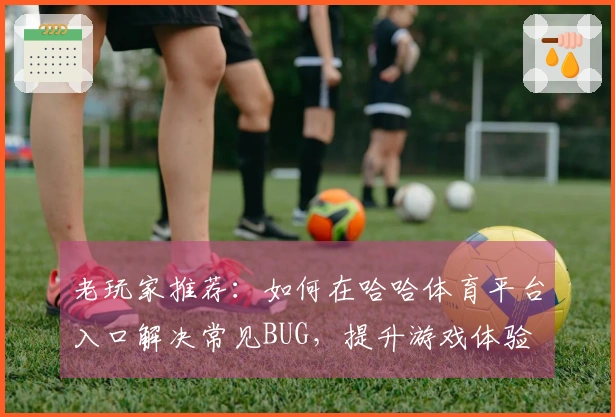老玩家推荐：如何在哈哈体育平台入口解决常见BUG，提升游戏体验