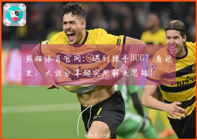 熊猫体育官网：遇到棘手BUG？看这里，大佬分享超实用解决思路！