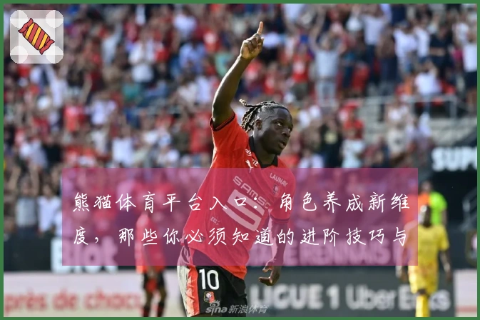熊猫体育平台入口：角色养成新维度，那些你必须知道的进阶技巧与潜在收益