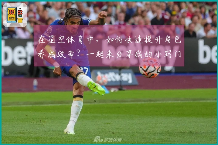 在星空体育中，如何快速提升角色养成效率？一起来分享我的小窍门吧！